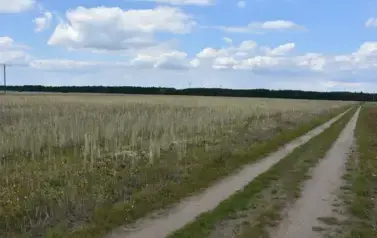 525014528_1143937957766343_3730982378735144185_n