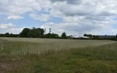 525335042_1143937857766353_8075897346795933754_n