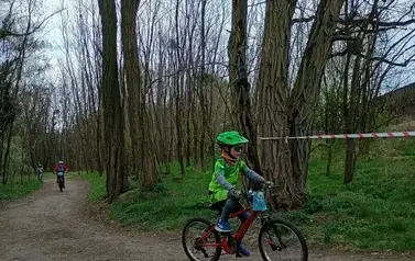 Mini Rehau Cup 2026 w Rogoźnie 65