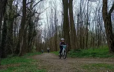 Mini Rehau Cup 2026 w Rogoźnie 74