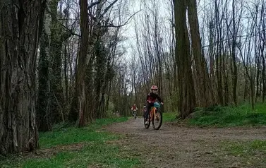 Mini Rehau Cup 2026 w Rogoźnie 75