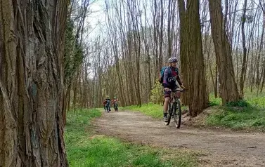 Mini Rehau Cup 2026 w Rogoźnie 79