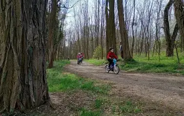 Mini Rehau Cup 2026 w Rogoźnie 80