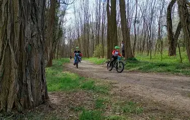 Mini Rehau Cup 2026 w Rogoźnie 82