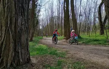 Mini Rehau Cup 2026 w Rogoźnie 84