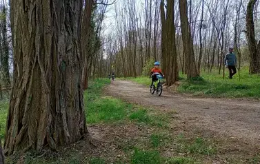 Mini Rehau Cup 2026 w Rogoźnie 85