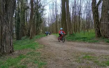 Mini Rehau Cup 2026 w Rogoźnie 96