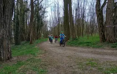 Mini Rehau Cup 2026 w Rogoźnie 97