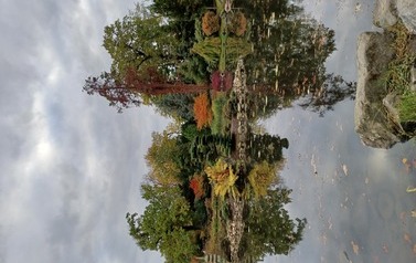 20211016_161026