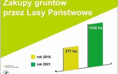 zakupy grunt&oacute;w leśnych