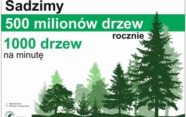 sadzimy