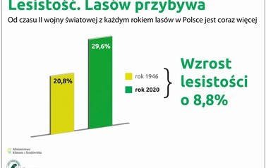lesistość