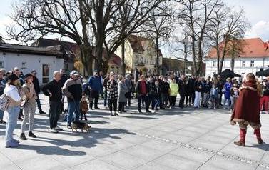 Pomnik Kr&oacute;la Przemysła II zdobi już nasze miasto.  137