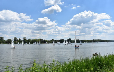 DSC_1146