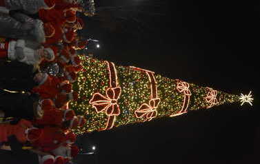 dsc_9955_optimized
