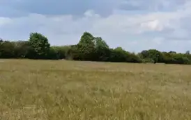 międzylesie  29 września 1