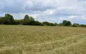 międzylesie  29 września 2