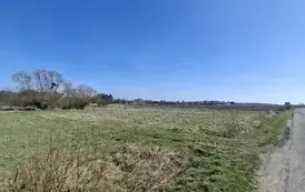 20260401_115856