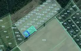 670936174_1355329899960480_7548720120586735779_n