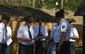33