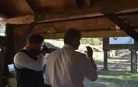 21