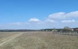 668873553_1354544646705672_1001399137041625608_n
