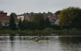 ENEA Długodystansowych Mistrzostw Polski w&nbsp;Wioślarstwie oraz&nbsp;Długodystansowych Mistrzostw Wojew&oacute;dztwa Wielkopolskiego 93