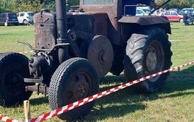 241410043_4104941639634726_5718849384637418904_n