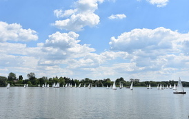 DSC_1153