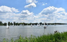 DSC_1146