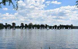 DSC_1133