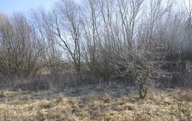 648388914_1326445189515618_3036427469000046154_n