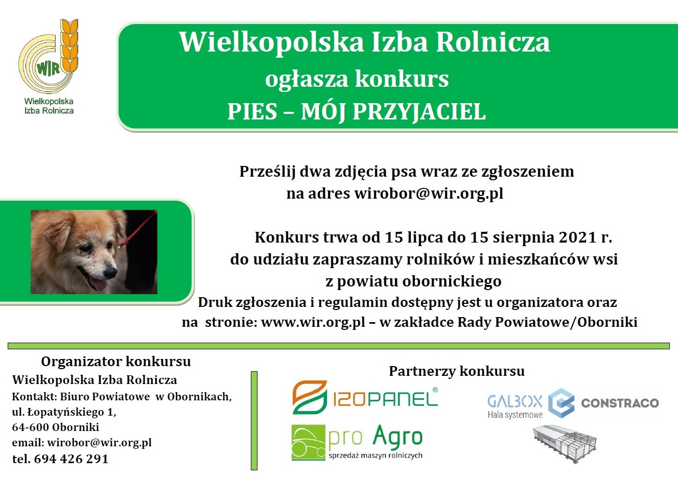 tekst plus zdjęcie psa