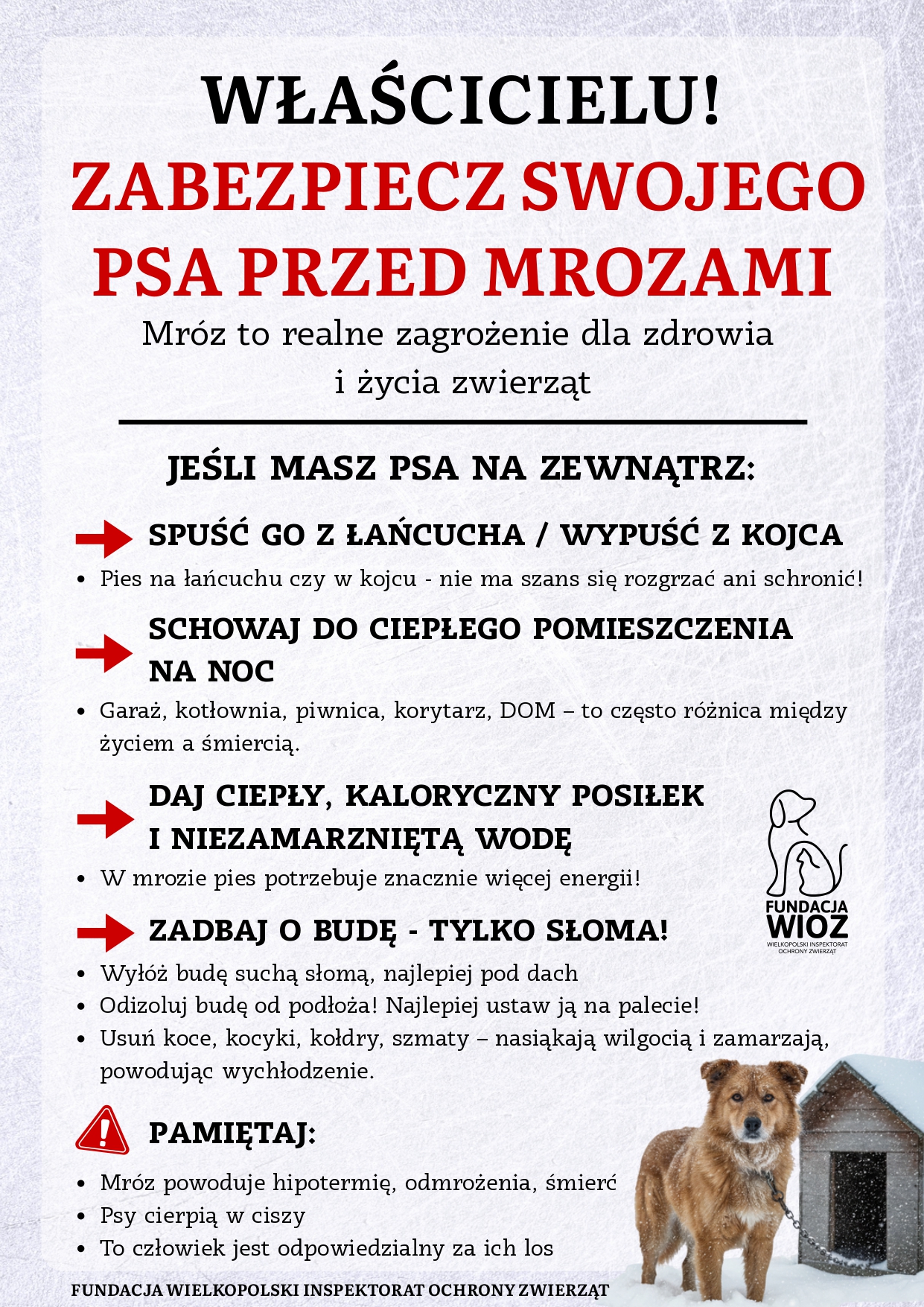 czarny i&nbsp;czerwony tekst na&nbsp;białym / kremowym tle, na&nbsp;dole po prawej stronie zdjęcie psa na&nbsp;łańcuchu , w&nbsp;tle buda nad nim logo fundacji