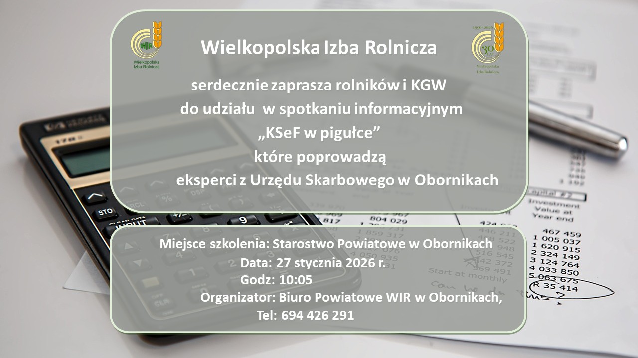 tekst na&nbsp;tle rozmazanego kalkulatora