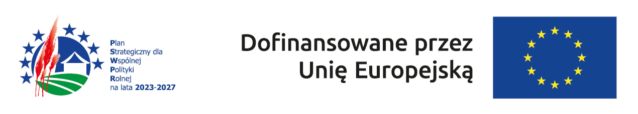 po lewej logo PSWPR po prawej UE