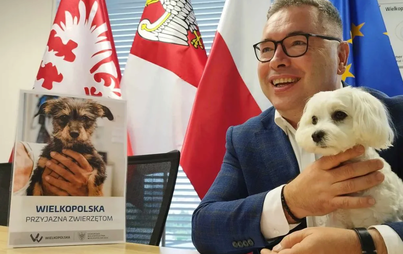 Zdjęcie do Szukamy Wielkopolskich Przyjaci&oacute;ł Zwierząt!
