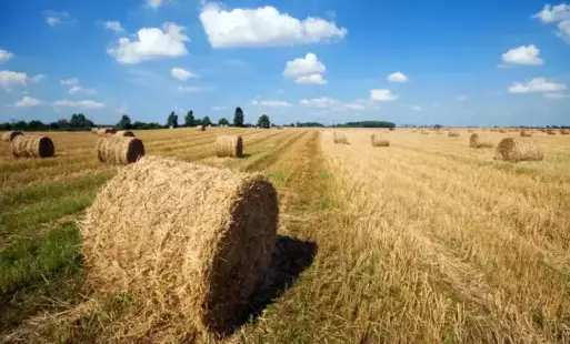 Zdjęcie artykułu z dnia 19-08-2025