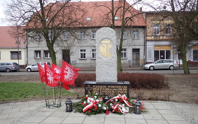 Zdjęcie do Obchody Powstania Wielkopolskiego w Rogoźnie.