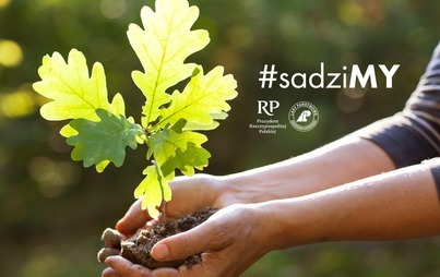 Zdjęcie do Posadź drzewo z Prezydentem RP i leśnikami