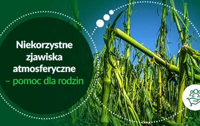 Zdjęcie do Pomoc finansowa dla gospodarstw rolnych