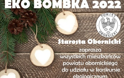 Zdjęcie do Konkurs dla mieszkańc&oacute;w Powiatu Obornickiego pn. "Eko bombka 2022"