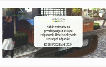 Zdjęcie do Kosze podziemne