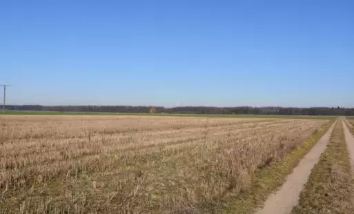 Zdjęcie do Burmistrz Rogoźna ogłasza przetargi nieograniczone ustne na sprzedaż prawa własności niezabudowanych działek gruntu