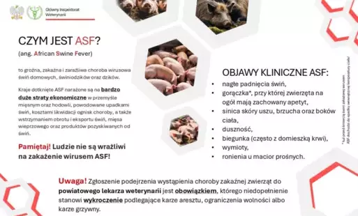 Zdjęcie do ASF - informacje