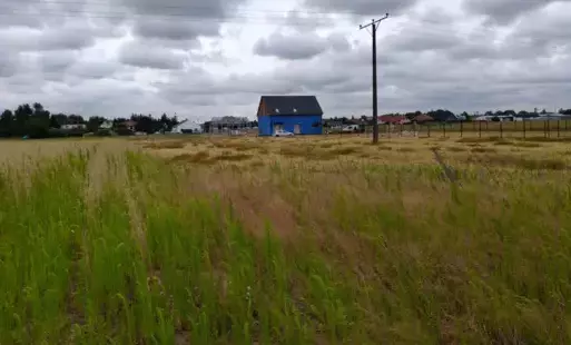 Zdjęcie artykułu z dnia 09-07-2025