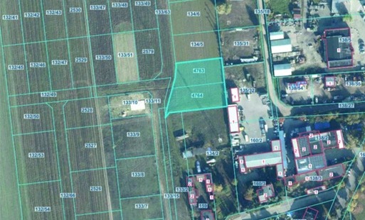 Zdjęcie artykułu z dnia 25-02-2026