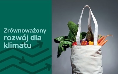 Zdjęcie do Z lasu wzięte...