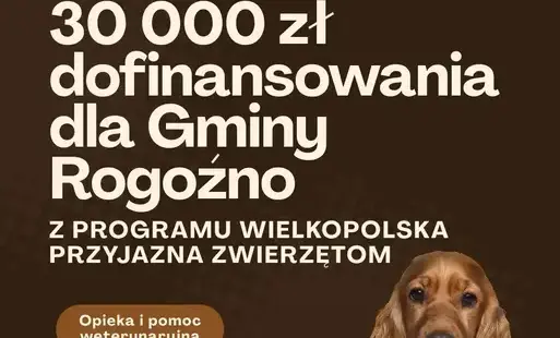 Zdjęcie do 30 tys. zł dofinansowania w ramach programu &bdquo;Wielkopolska przyjazna zwierzętom&rdquo;