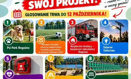 Zdjęcie do PRZYPOMINAMY! GŁOSOWANIE W BUDŻECIE OBYWATELSKIM GMINY ROGOŹNO TRWA!